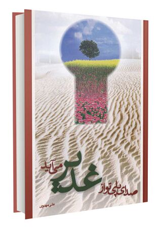 صدای پای تو از غدیر می آید (کتاب)